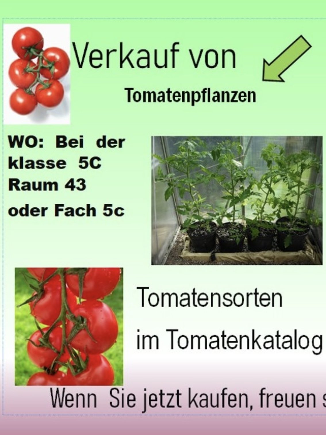 Flyer Tomatenverkauf 